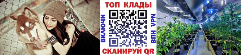 Цена Урень Канабис  МЕФ  A-PVP  ГАШИШ  КОКАИН 