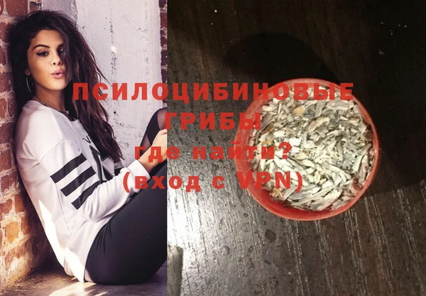 твердый Белая Холуница